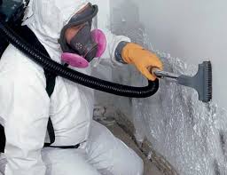 Best Forensic Mold Investigation  in San Leon, TX